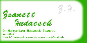 zsanett hudacsek business card
